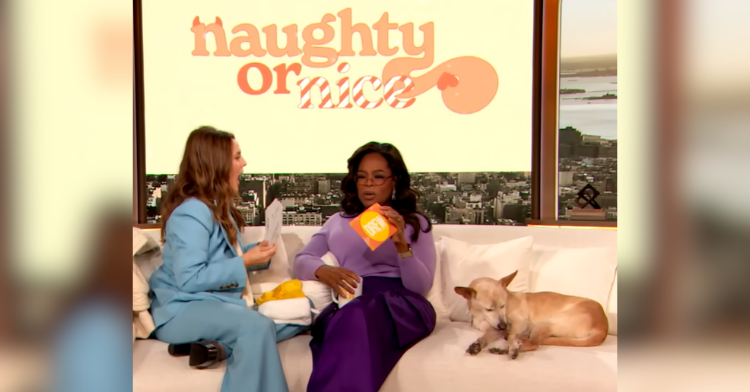 oprah, drew barrymore, and a dog