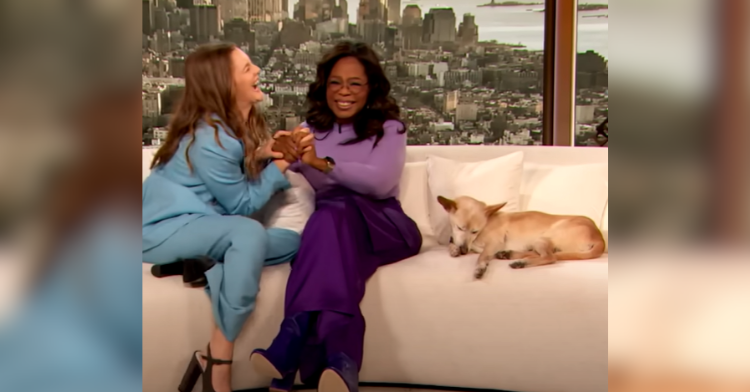 oprah, drew barrymore laugh with dog