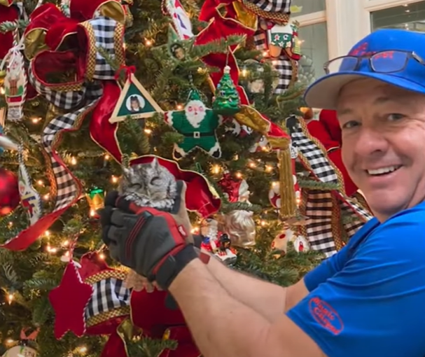 A man smiles as he gently holds onto a small owl while wearing gloves. Behind him is the family Christmas tree where he found the owl.