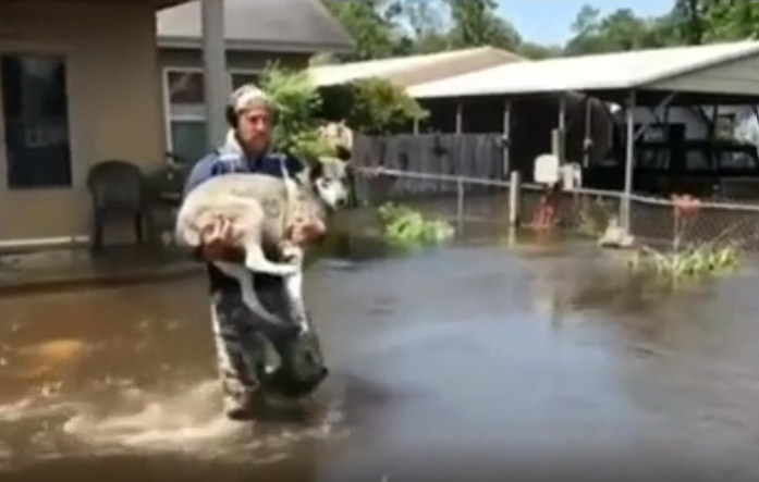 A man carries a dog in flooded waters, showing people supporting others during tough times.