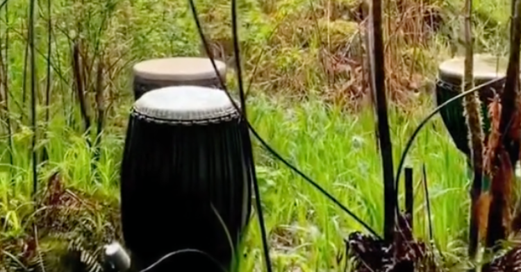 rain drums