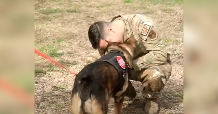 soldier reuniting with dog