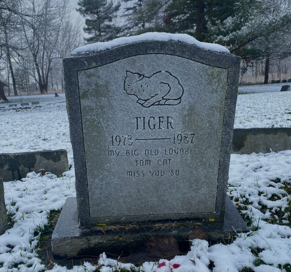 Tiger cat headstone