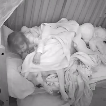 A toddler tucks her dog into bed.