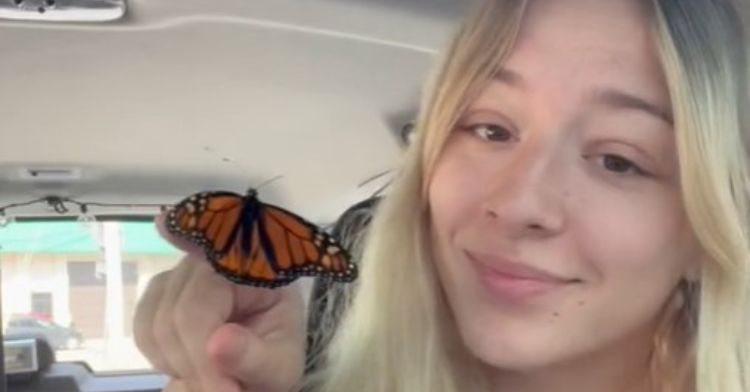 girl holding monarch butterfly