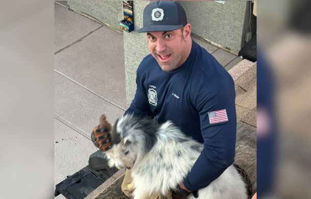 Making new friends. Firefighter with goat he just rescued.