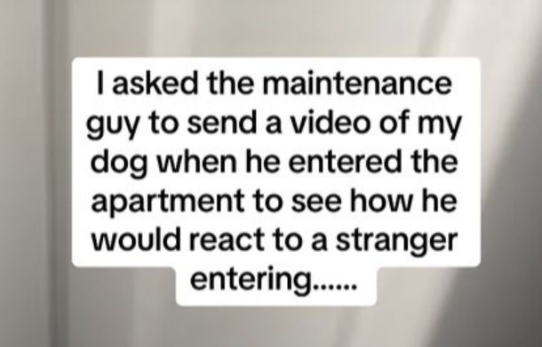 Words: I asked the maintenance guy to send a video of my dog when he entered the apartment to see how he would react to a stranger entering.....