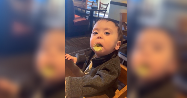 baby tries lettuce