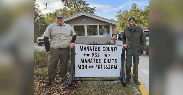 A sign shows that a record number of manatees were spotted.