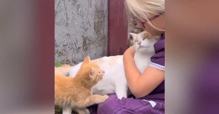 A little girl holds a smiling cat in her arms as a small kitten places a paw on the girl's knee.