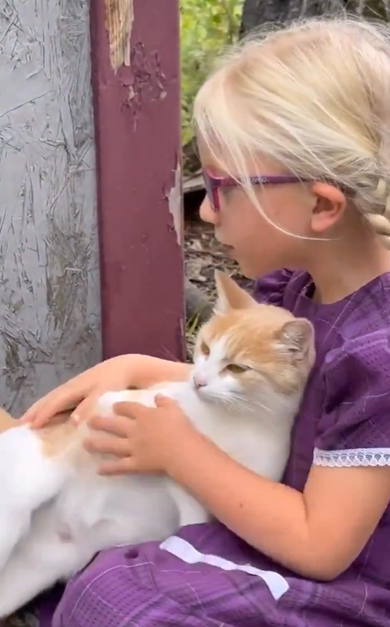 Mama Cat Introduces Her Kitten To Her Favorite Little Girl In Adorable Clip.