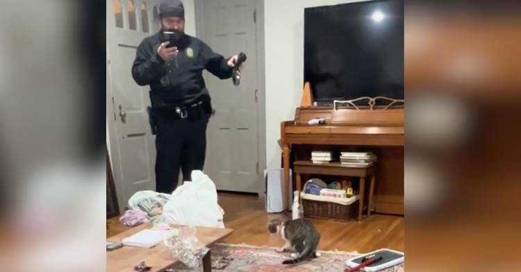 cop playing with cat in living room