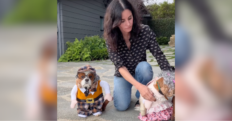 courteney cox and dressed up dogs