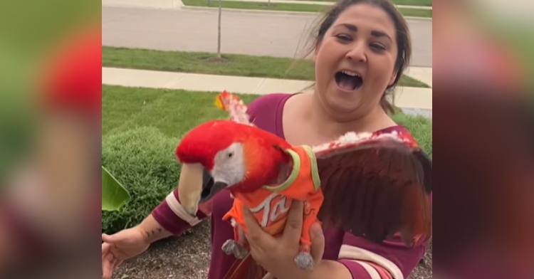 A woman smiles wide as she holds her disabled parrot, Mya, who is flapping her wings.