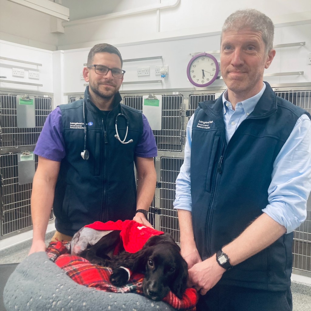 Two vets give small smiles as they stand next to Ariel, the dog born with six legs. She's laying down on a soft dog bed, wrapped in a blanket after surgery. 