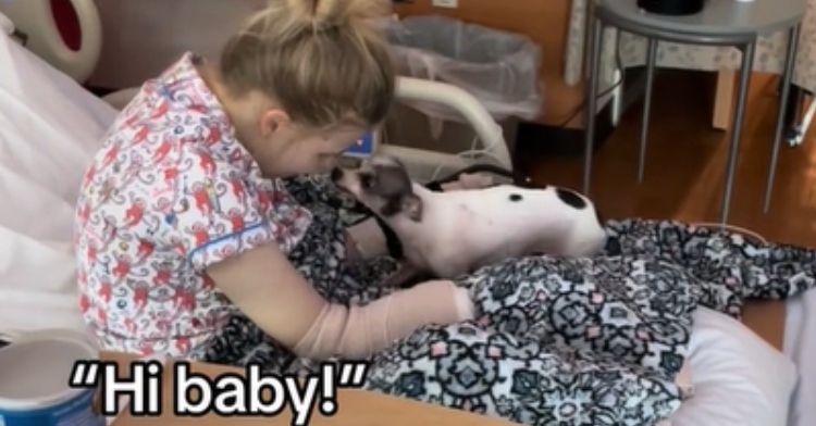 Woman named Jasmine sits in a hospital bed, leaning forward to better see her dog during their reunion. Text on the image shows what Jasmine is saying: Hi baby!