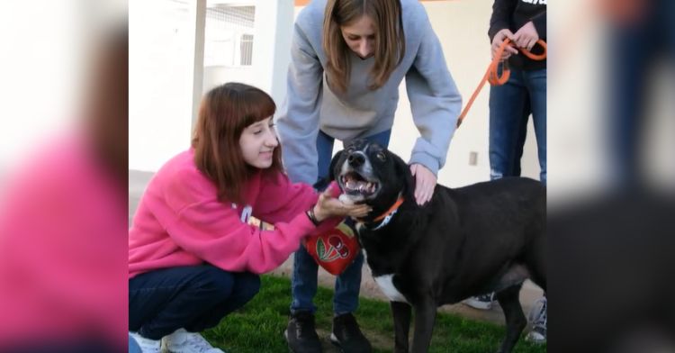 A family visits a dog shelter with a generous donation.