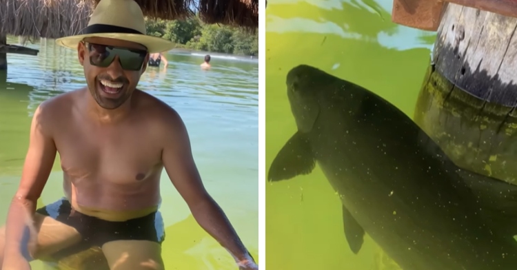 A two-photo collage. The first shows a man sitting on a stool at a swim-up bar. He's wearing a bathing suit, a hat, and sunglasses. He's smiling wide as he pets a large, friendly fish. The second photo shows a close up of a large fish swimming next to a table at a swim-up bar. A hand is reaching toward the fish to pet them.