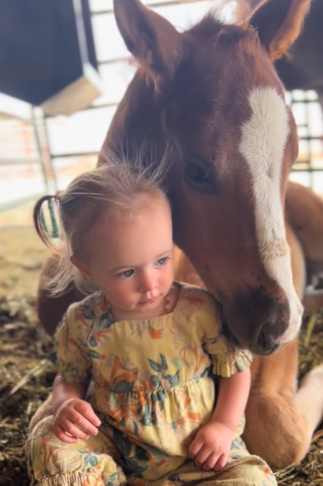 A toddler and a baby horse who are best friends.