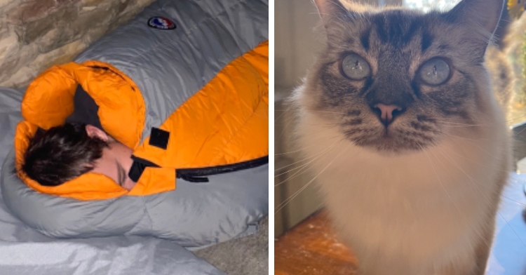 A two-photo collage. The first shows a view of Tiffany Bates' husband sleeping outside their home in a sleeping bag. Couch cushions have been placed on the ground to make it more comfortable. Her husband is waiting for their lost cat to come back. The second photo shows a close up of Tiffany Bate's cat, Reno. He has a mainly white, fluffy body with a multi-colored face and tail. He also has light, bright blue eyes.