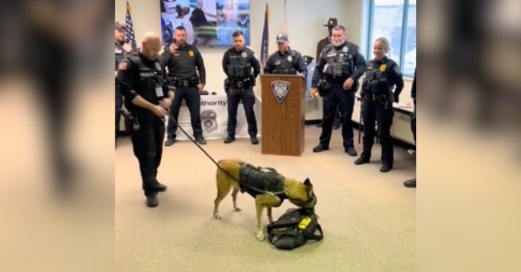 k9 sniffing bag at police station