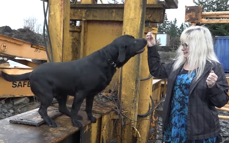 A happy black Lab with his owner after being rescued.