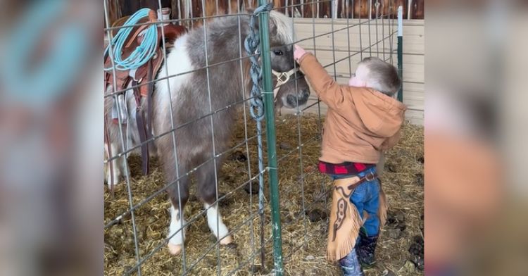 A cowboy toddler talks to his grey pony.