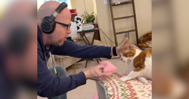 man petting cat and holding tiny pillow