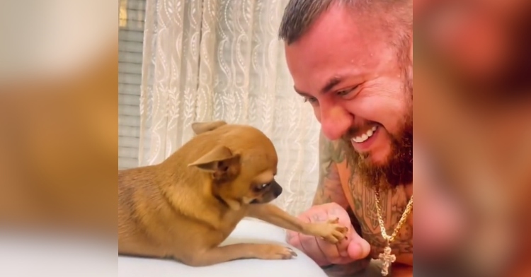 A man smiles wide as his chihuahua pats his close sit with their paw, similar to a human giving someone a fist bump.