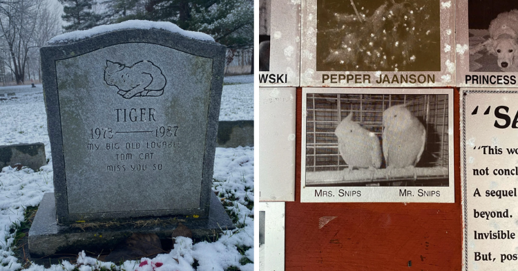 pet grave and bird memorial
