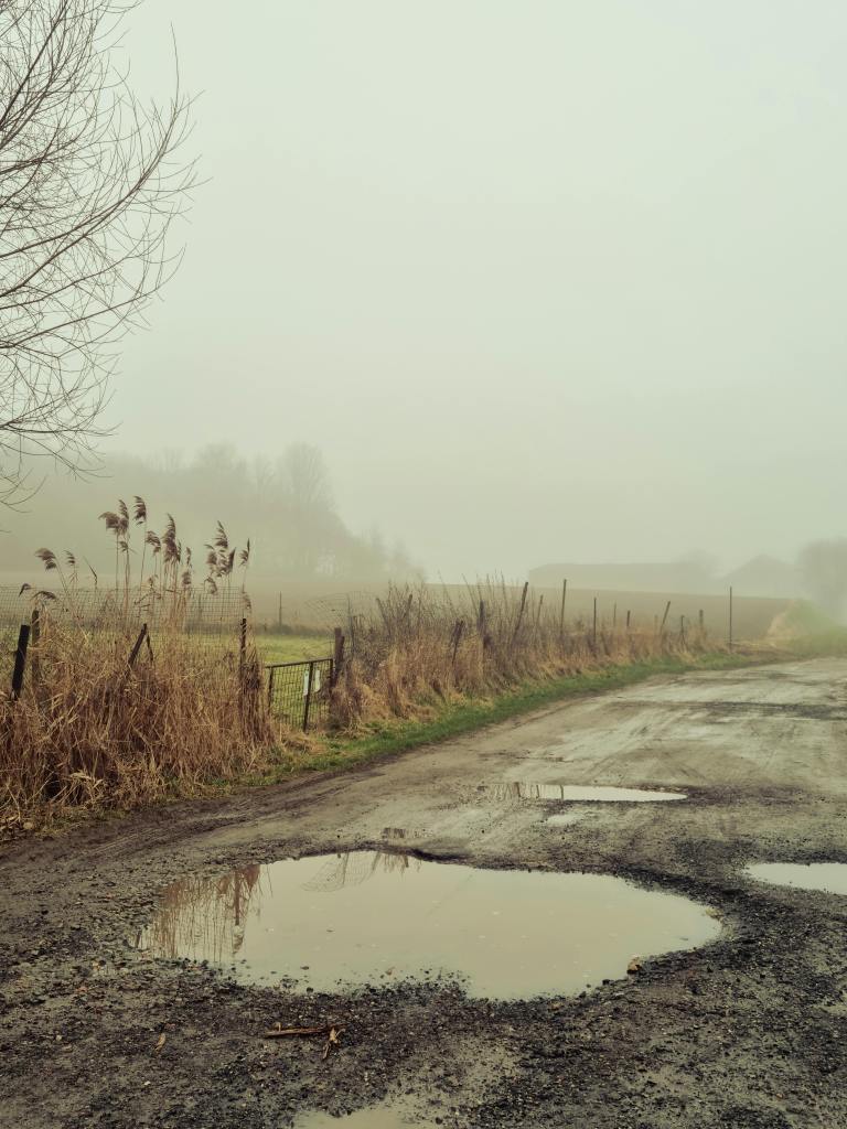 A road with one massive pothole full of water and two smaller ones near it. Next to the road are large fields and a small fence with overbrush. 