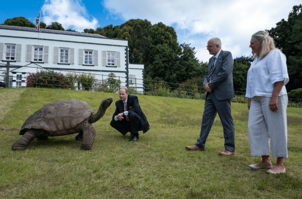 Prince Edward kneels next to Jonathan the tortoise as two others stand nearby.