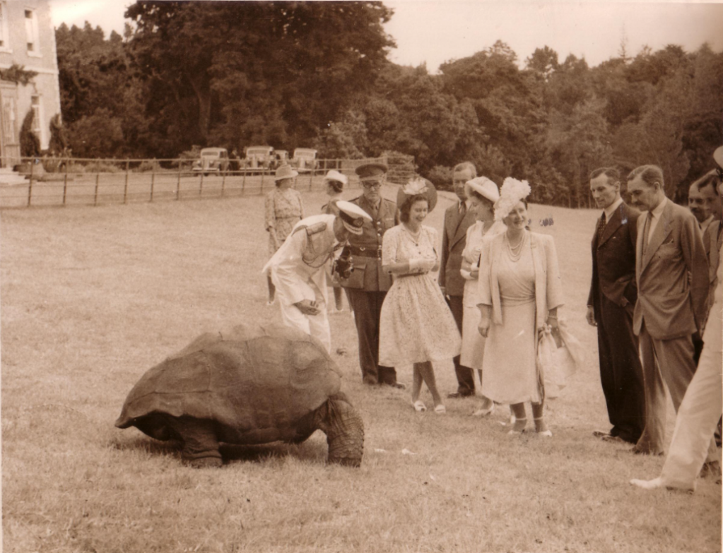 Sepia photo of the late Queen Elizabeth, with a group of others, meeting Jonathan the tortoise in St. Helena.