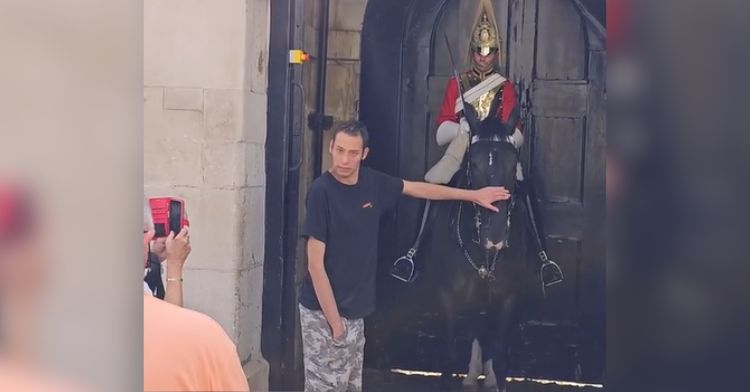 A teen with special needs is allowed to pet the King's Guard horse.