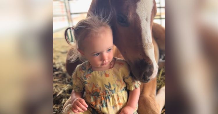 A toddler and a baby horse who are best friends.