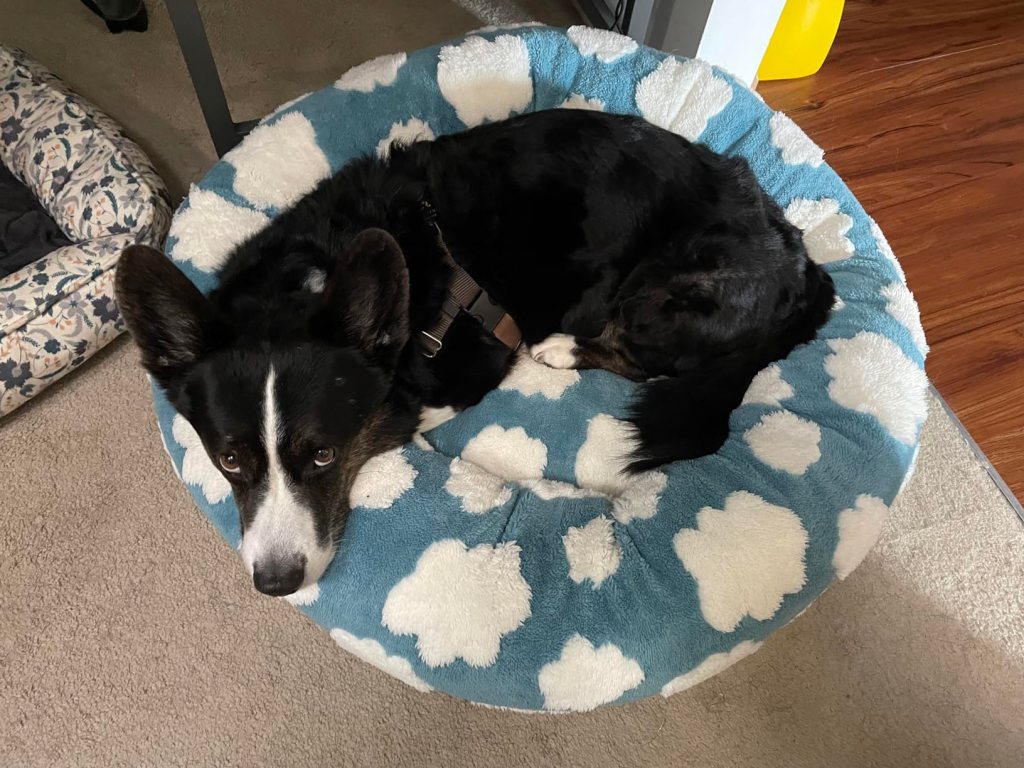 pet-bed-with-clouds