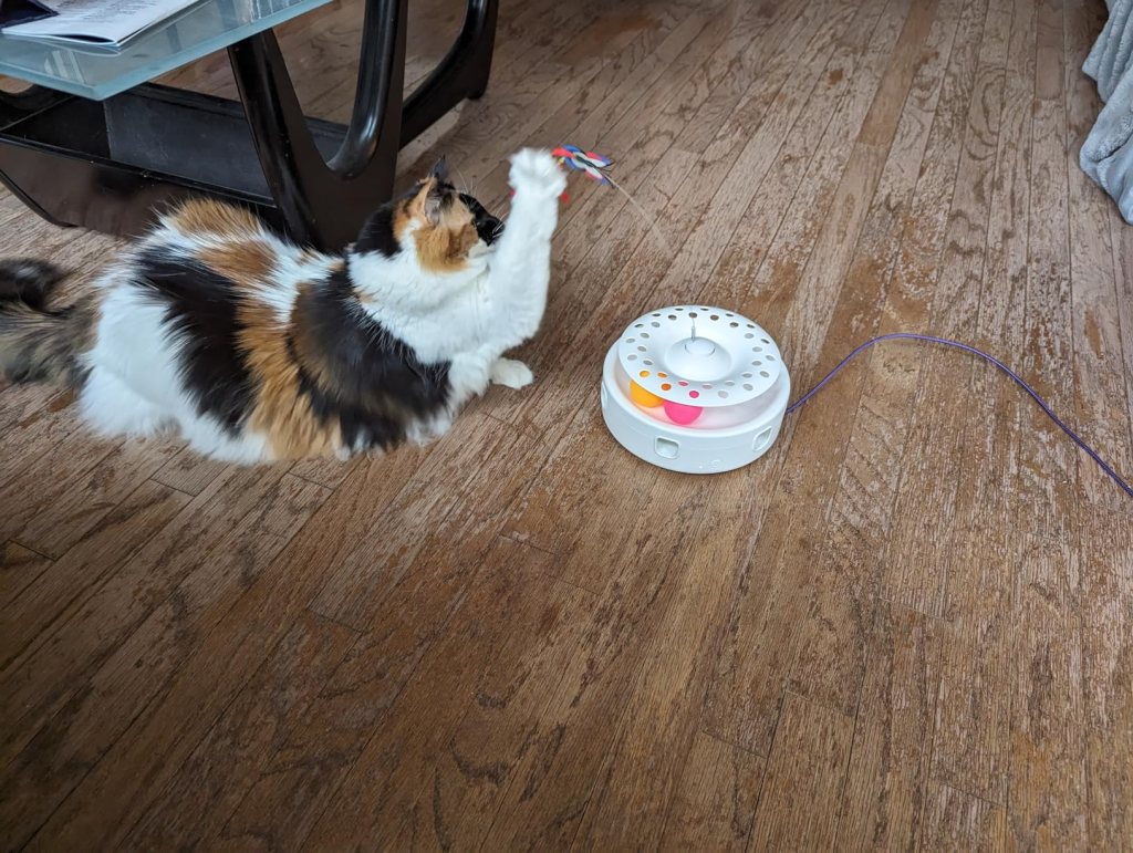 interactive-cat-toy