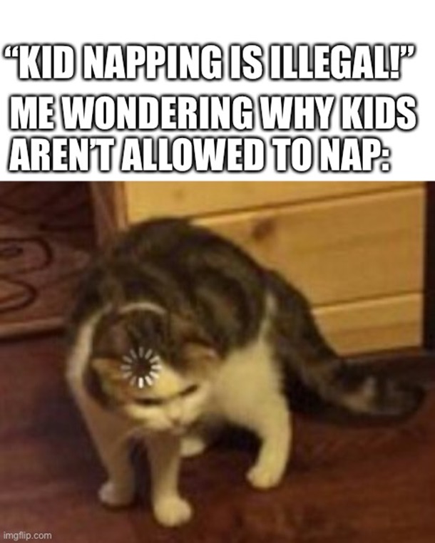 Meme showing a cat with the words, "'Kidnapping is illegal!' Me wondering why kids aren't allowed to nap:"