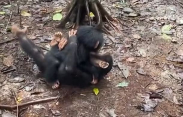 A rolling hug from a happy sibling!
