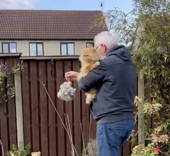 cat dad moving fur