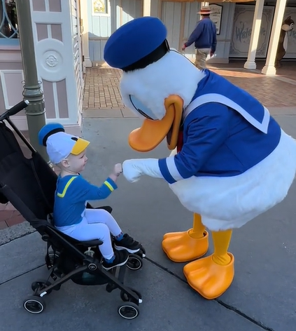 donald duck and mini donald duck