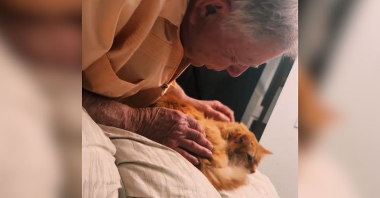 A loving cat grandpa tells his kitty goodnight.