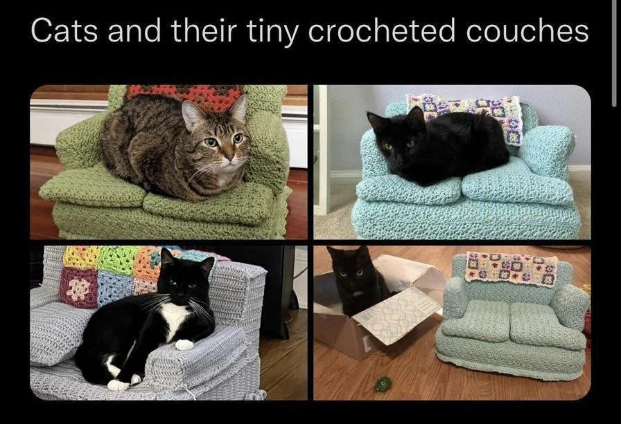Four cats sitting with tiny crocheted couches.