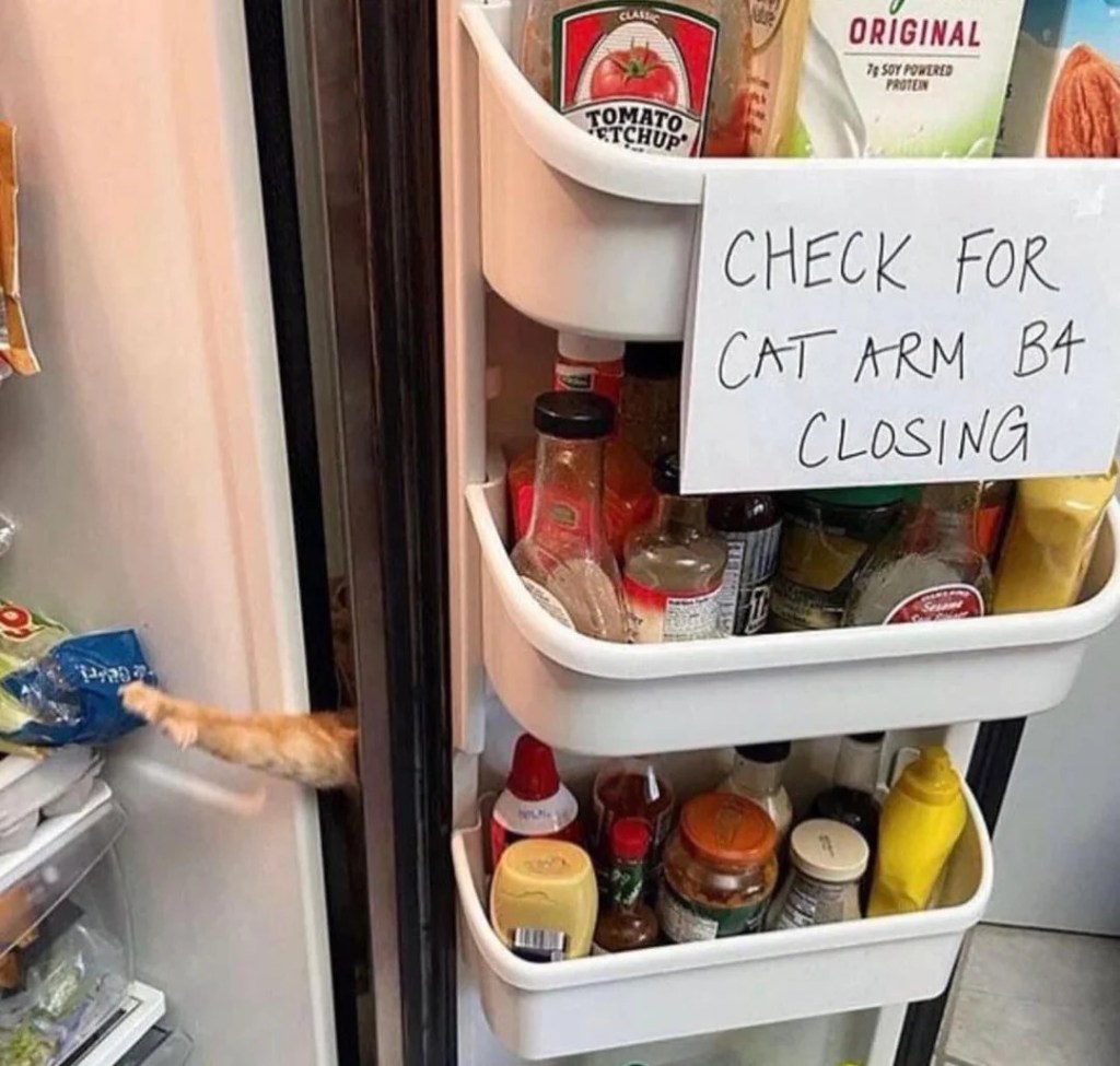 A cat sneakily reaches into the refrigerator. 