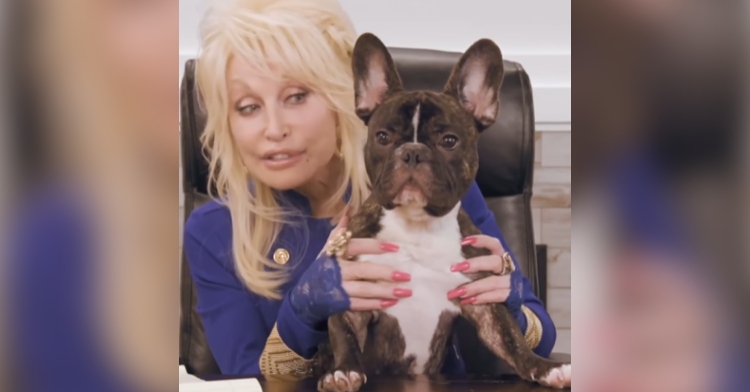 Dolly Parton smiles as she sits in a chair holding onto her dog who is sitting on the table in front of her.
