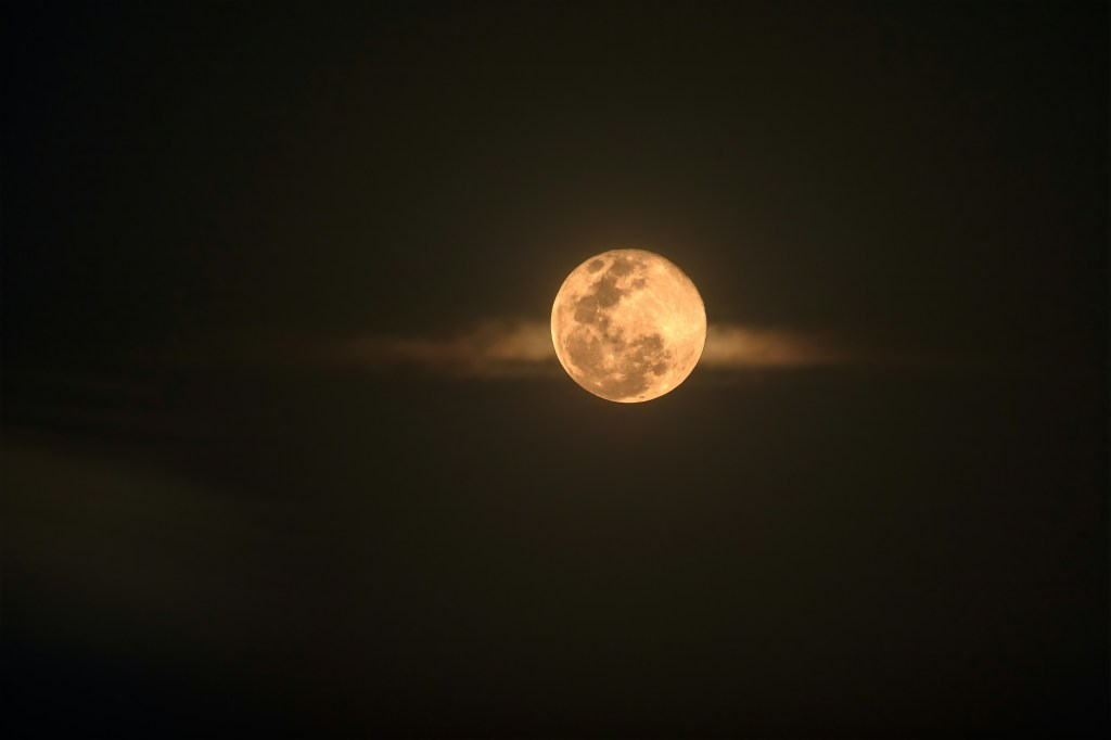 A beautiful, orange full moon in the night sky. 