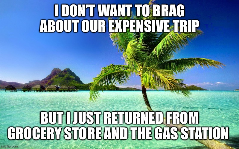 A meme with a beautiful tropical island and a palm tree.