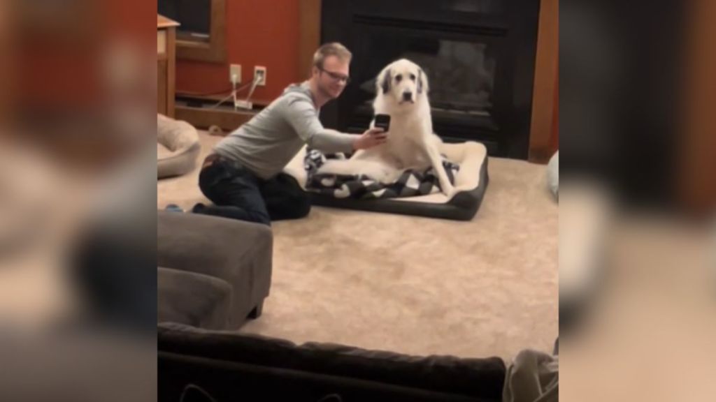 A man sits on the floor to take a selfie with a fluffy dog.