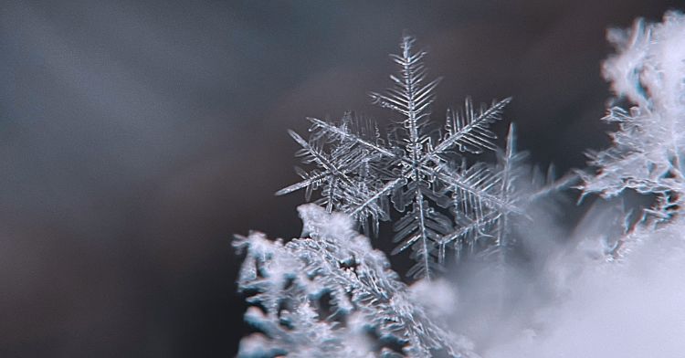 A closeup of several snowflakes, making them look large.