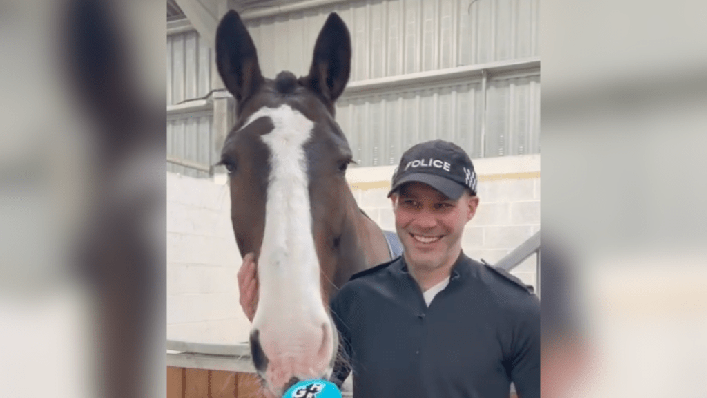 man and a horse